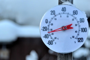 Refrigerated trucks and Frozen Transportation